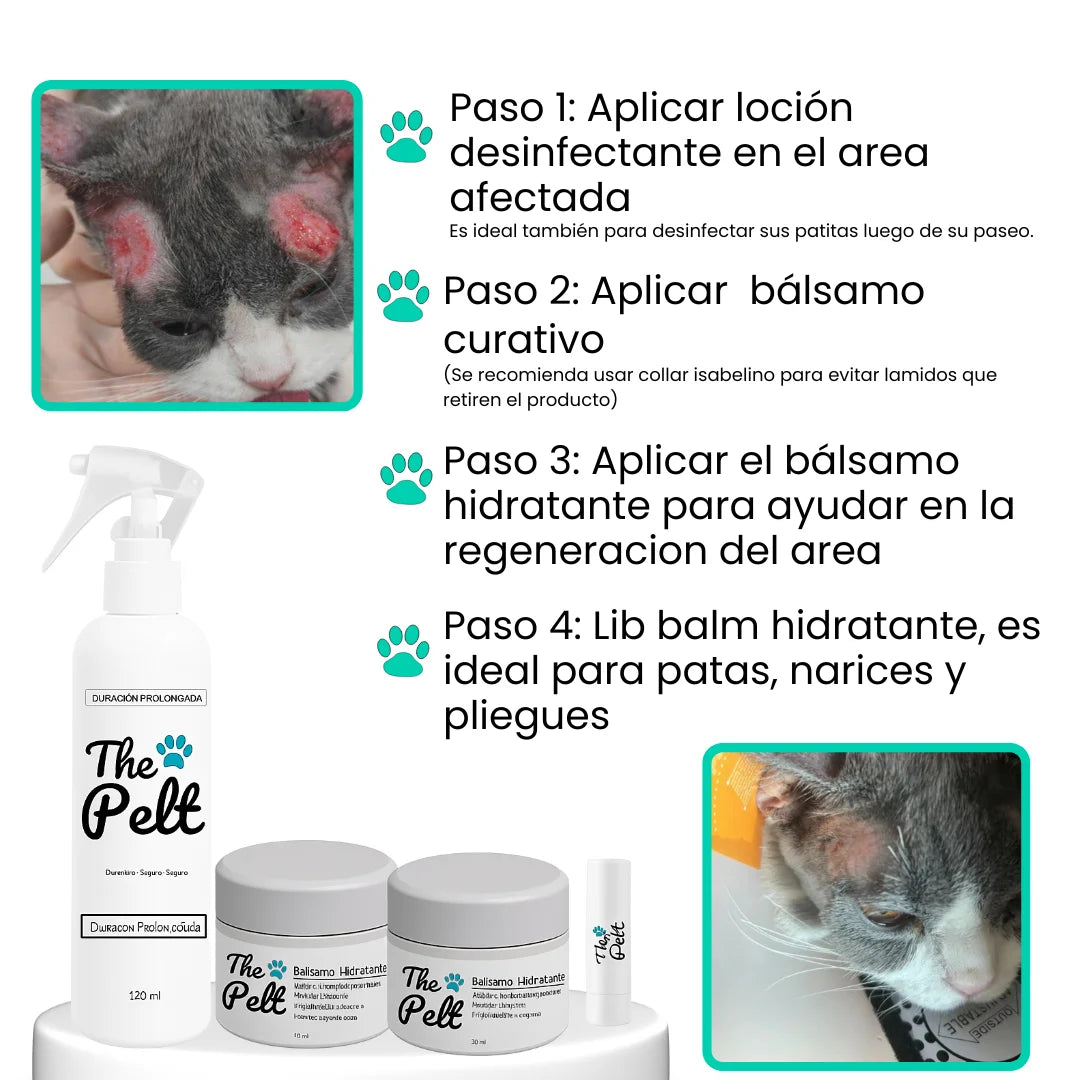 Kit Piel Sana: Cura, protege y regenera naturalmente.