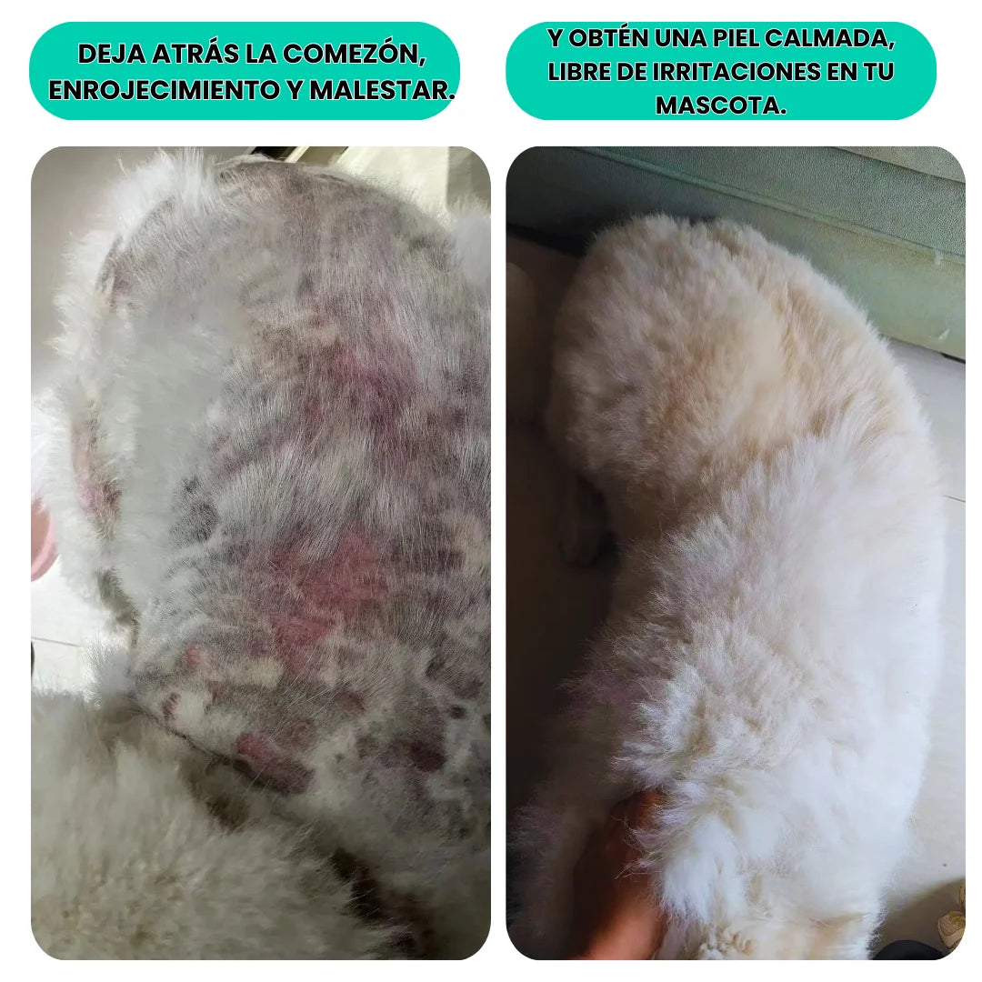 Kit Piel Sana: Cura, protege y regenera naturalmente.