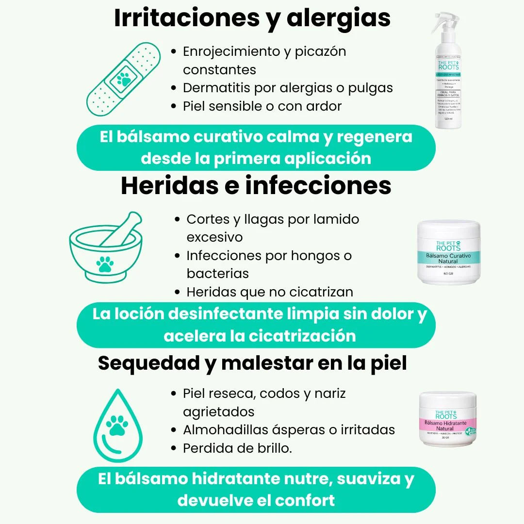 Cura la piel de tu mascota naturalmente