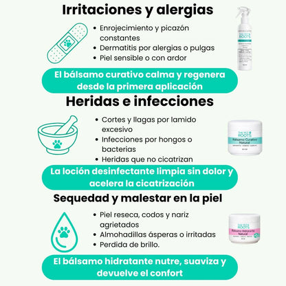Cura la piel de tu mascota naturalmente