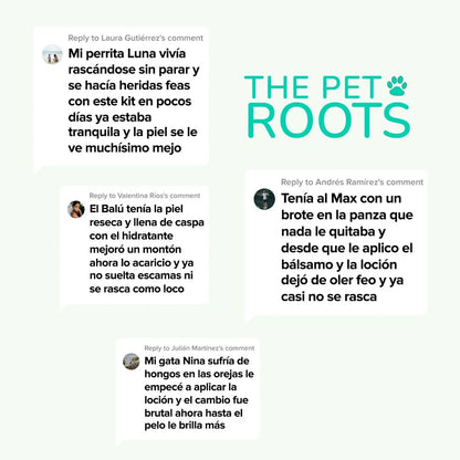 Cura la piel de tu mascota naturalmente