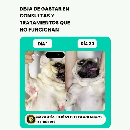 Cura la piel de tu mascota naturalmente